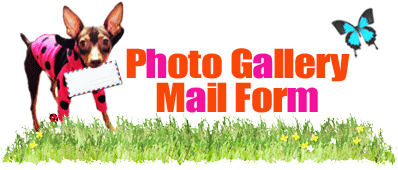 Photo Gallery Mail Form